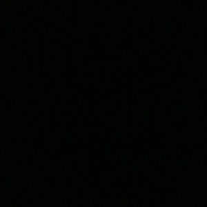 Meet your Posher, Alayna